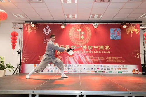 中國年文化在匈牙利綻放奇花, 歡樂春節(jié) 美麗中國春 活動(dòng)現(xiàn)場人潮涌動(dòng) 精彩視頻集錦 高清圖組